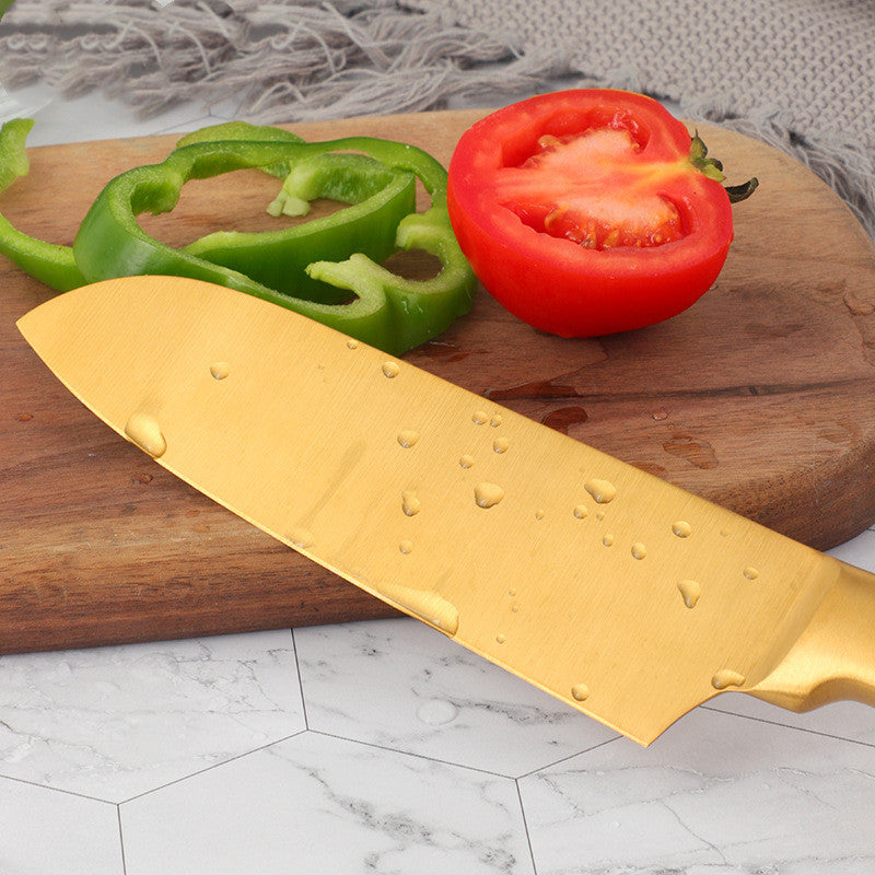 Household stainless steel kitchen knife